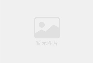 黑色PP板